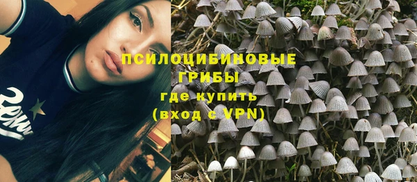 ГАЛЛЮЦИНОГЕННЫЕ ГРИБЫ Пересвет